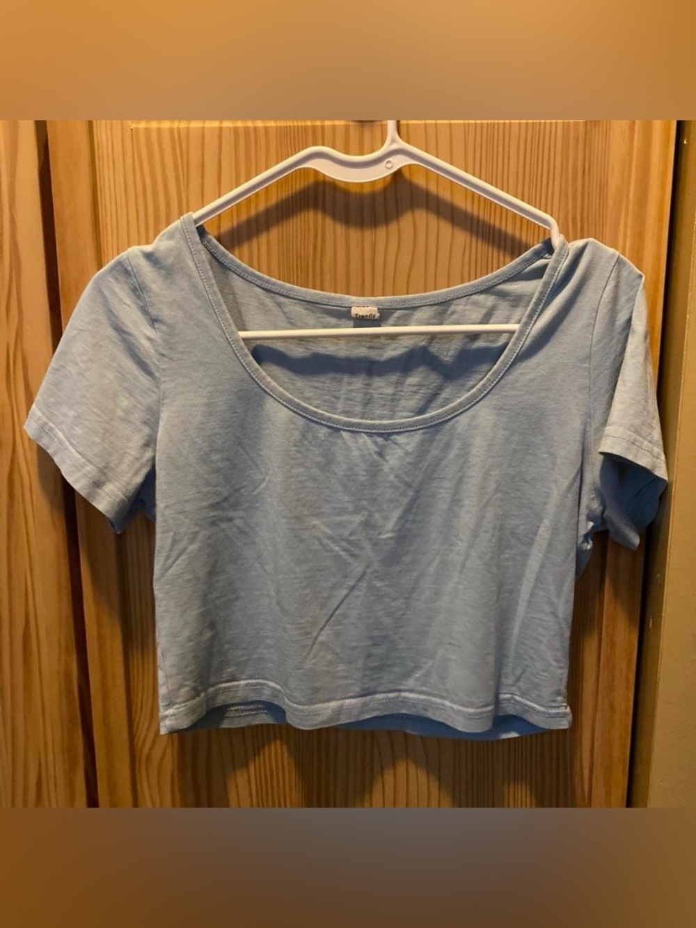 Light Blue Scoop Neck Women's Crop Top